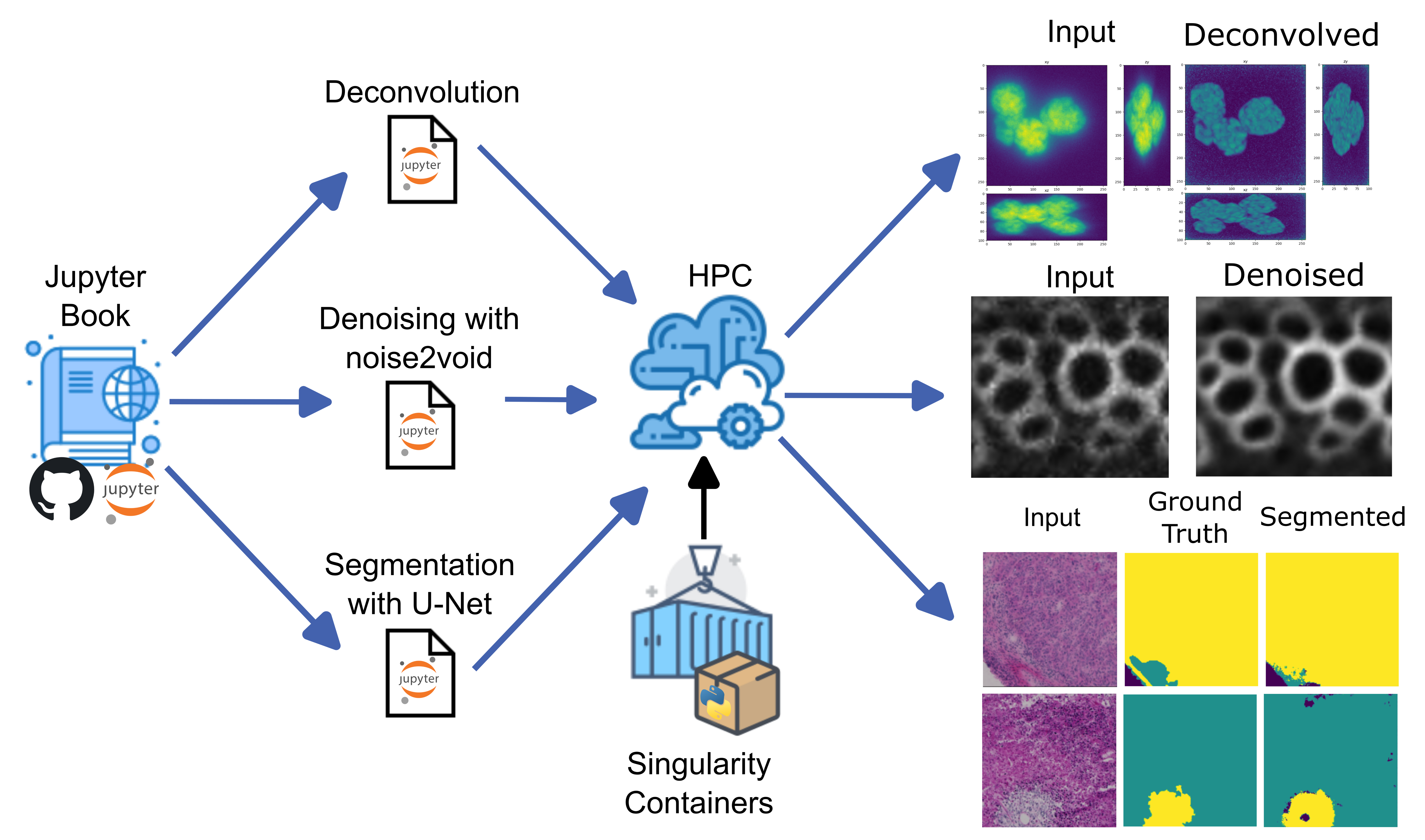 Figure 1: Flowchart of bio-image analysis workflows offered during advanced bio-image analysis course. Jupyter notebooks were executed in the HPC through tailored singularity containerized Python environment provided as kernels in the Jupyter Hub interface. Bio-image analysis workflows from top to bottom: deconvolution in 3D, denoising, and U-Net training for histology images segmentation.